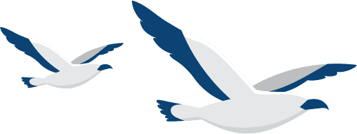 Elemento decorativo da identidade visual