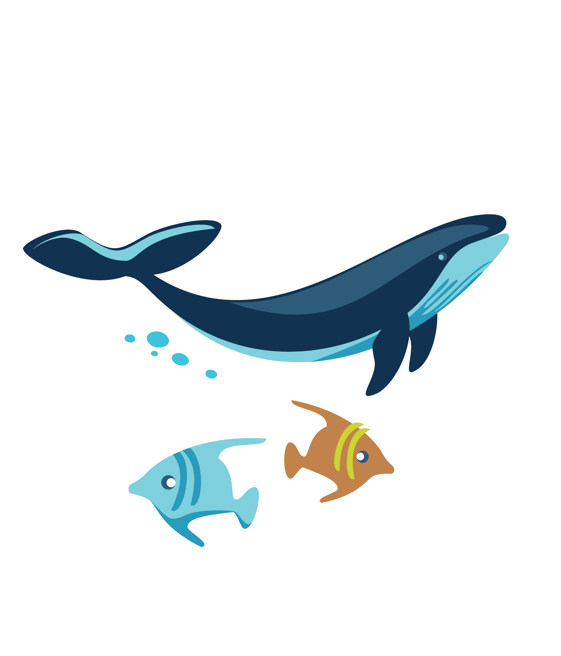 Elemento decorativo da identidade visual